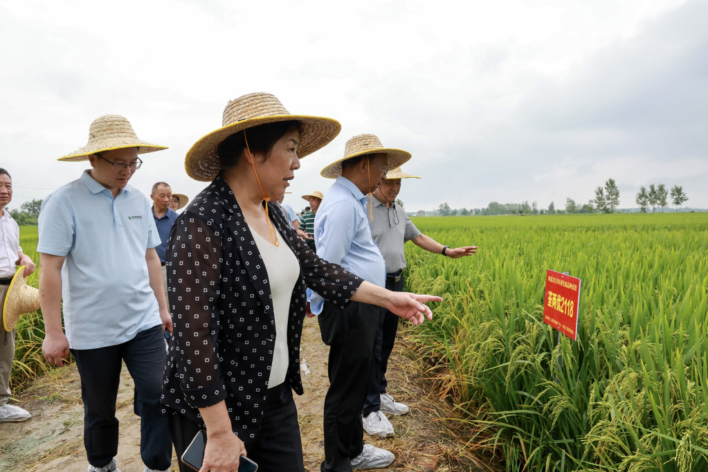 圖片13.png 圖片13.png